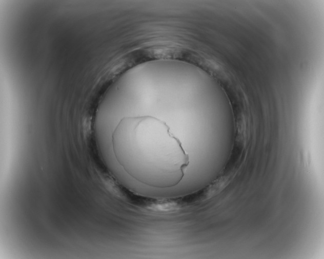 X0000086020278200704091119