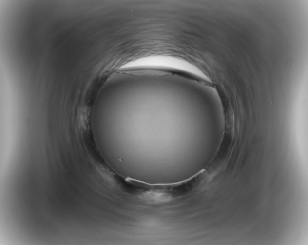 X0000086020280200704091119