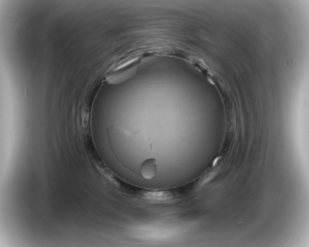 X0000086020281200704091119