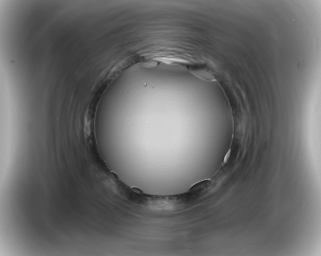 X0000086020282200704091119