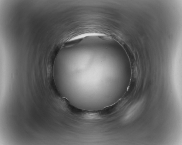 X0000086020283200704091119