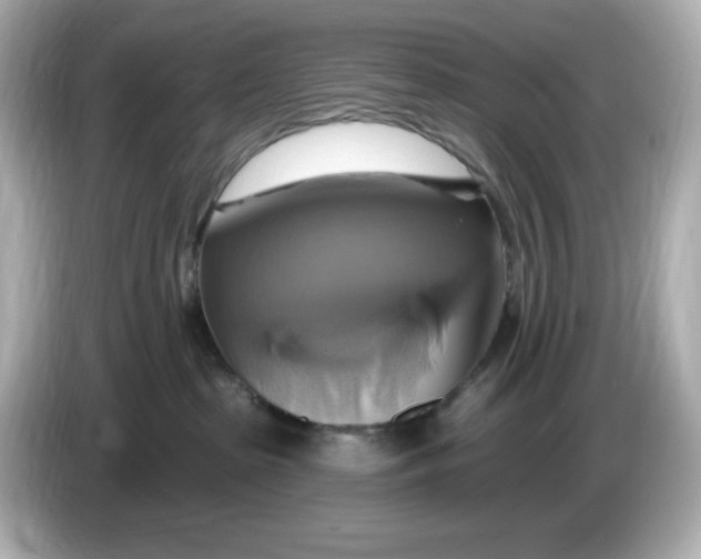 X0000086020285200704091119