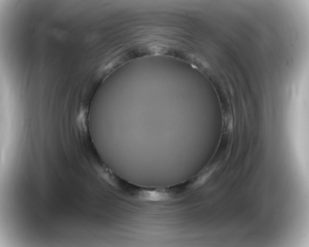 X0000086020286200704091119