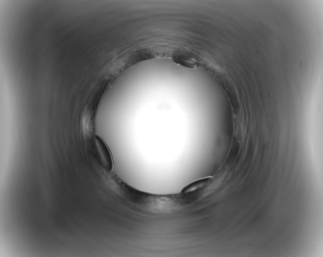 X0000086020287200704091119