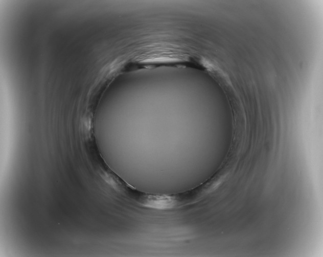 X0000086020288200704091119