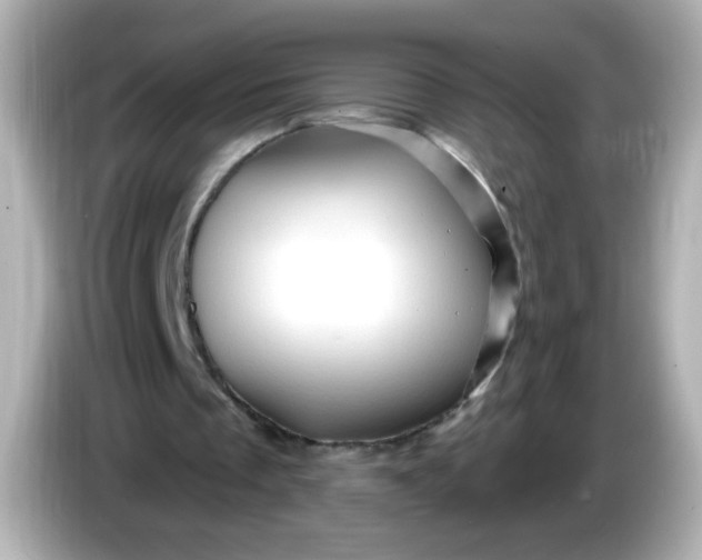 X0000086020289200704091119