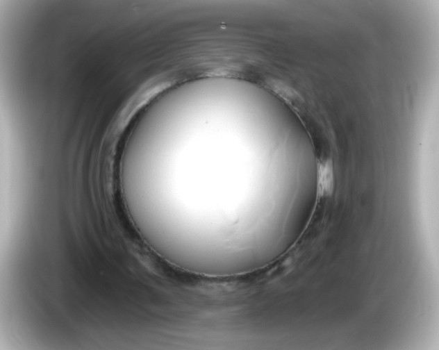 X0000086020291200704091118