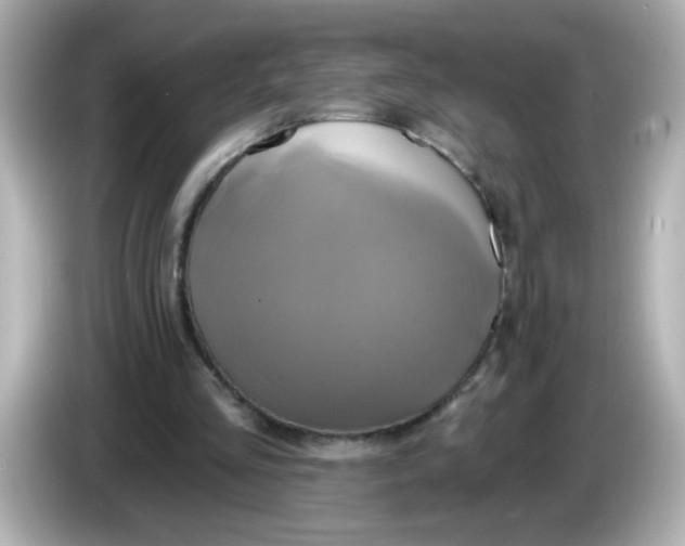 X0000086020293200704091118