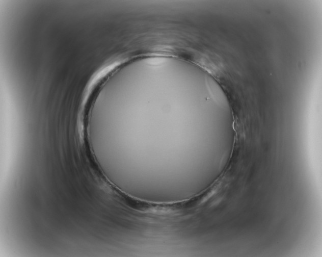 X0000086020294200704091118