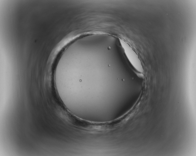 X0000086020295200704091118