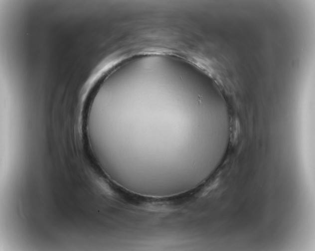 X0000086020296200704091118