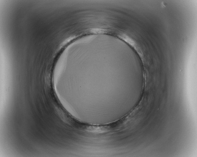 X0000086020297200704091118