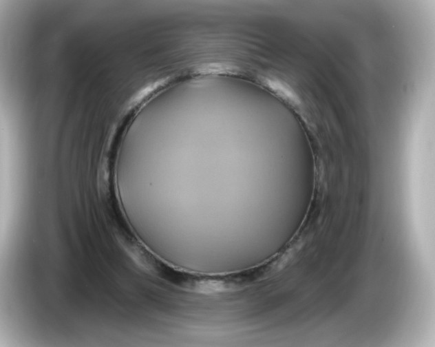 X0000086020298200704091118