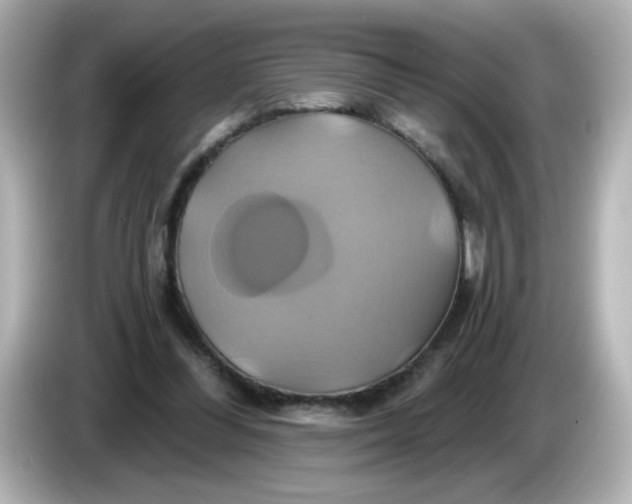 X0000086020300200704091118
