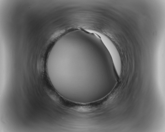 X0000086020303200704091118