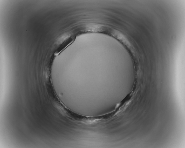 X0000086020305200704091118