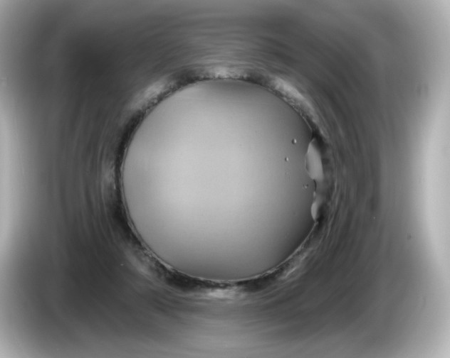X0000086020306200704091118