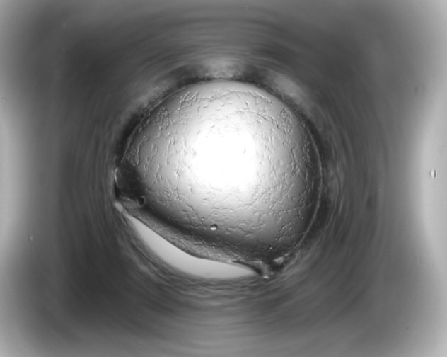 X0000086020307200704091118