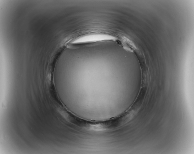 X0000086020309200704091118