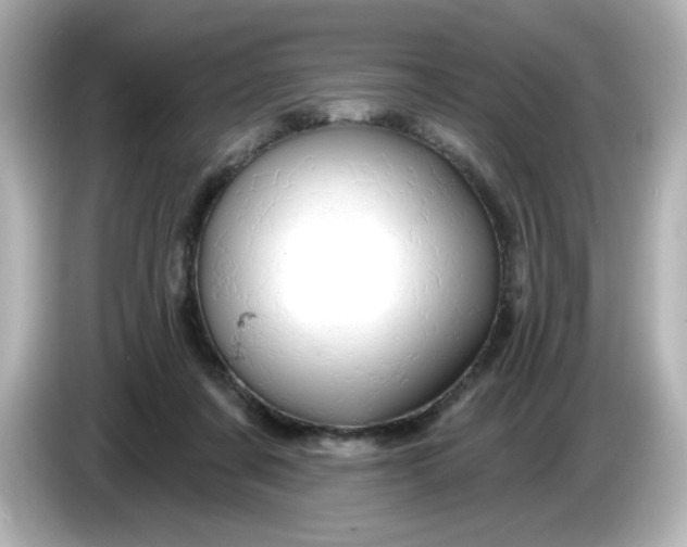 X0000086020311200704091118