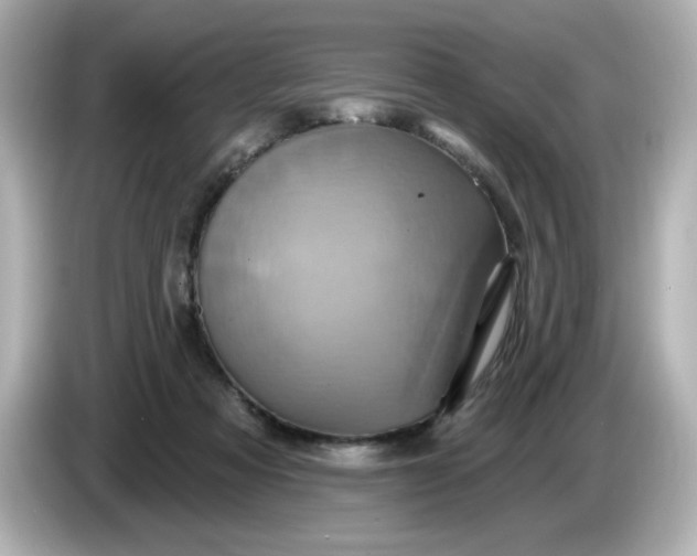 X0000086020313200704091118