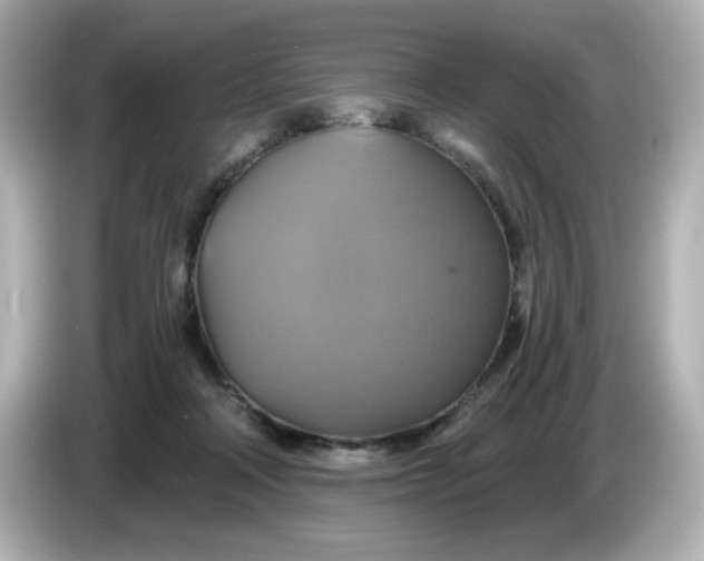 X0000086020314200704091118