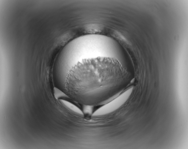 X0000086020315200704091118