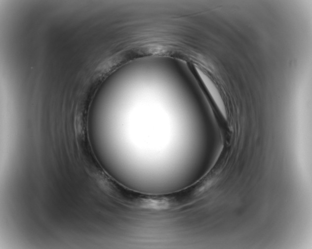 X0000086020317200704091118