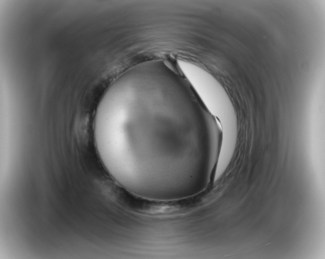 X0000086020319200704091118