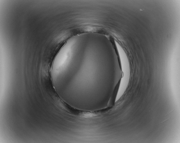 X0000086020325200704091118