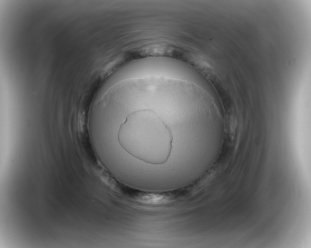 X0000086020326200704091118