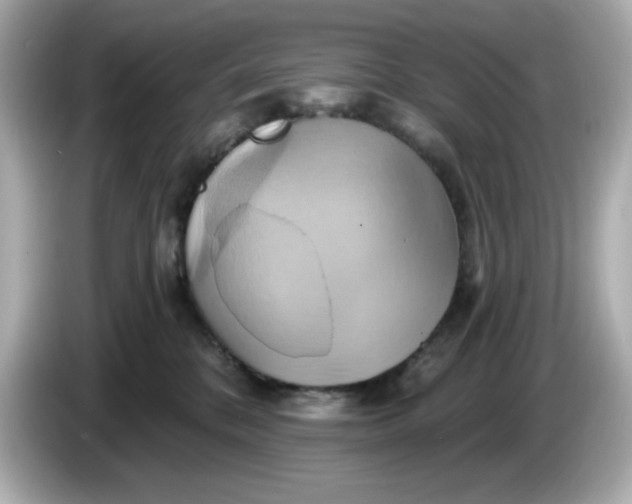 X0000086020328200704091118