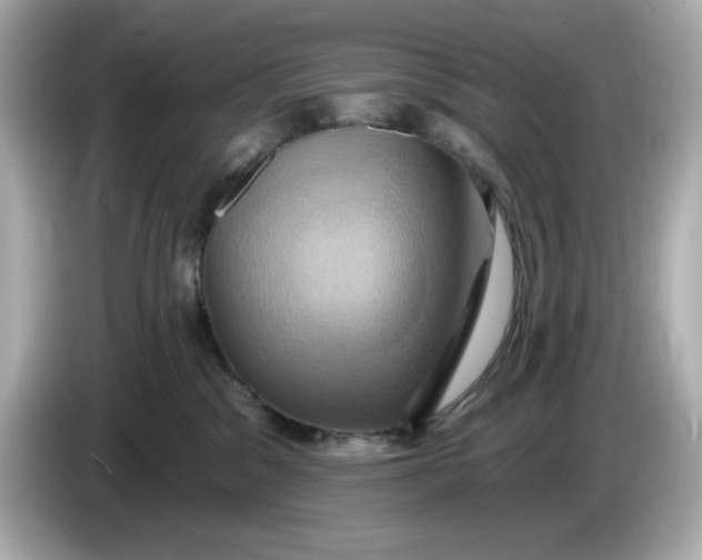 X0000086020329200704091118