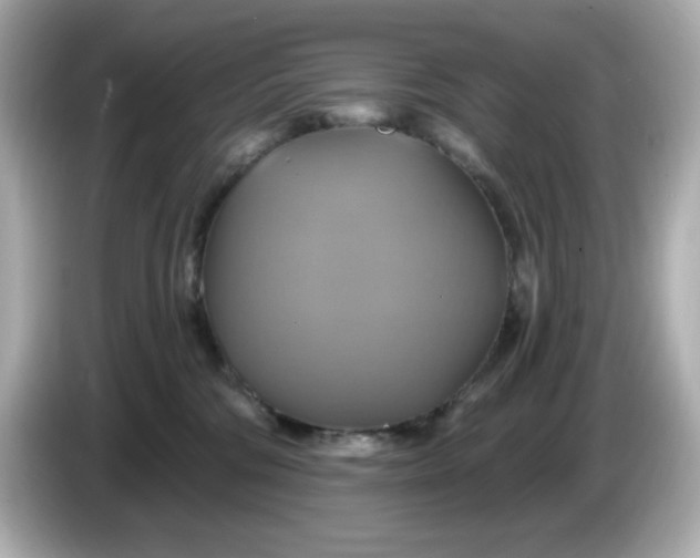 X0000086020330200704091118