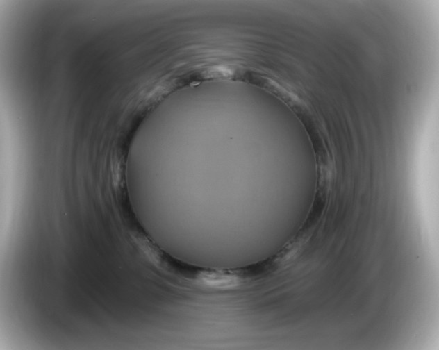 X0000086020331200704091118