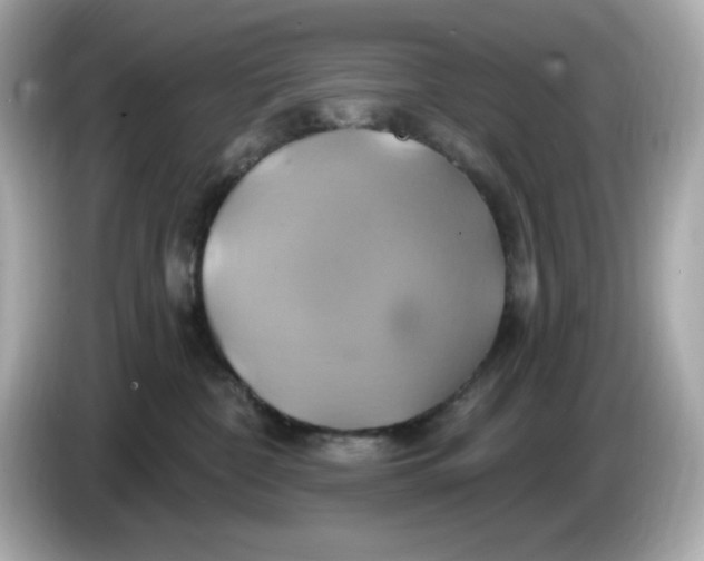 X0000086020332200704091118