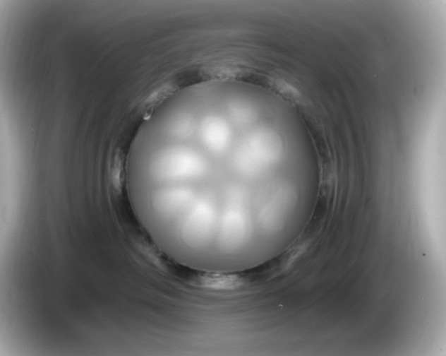 X0000086020334200704091118
