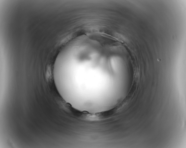 X0000086020335200704091118
