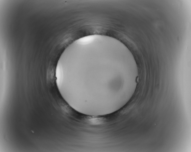 X0000086020336200704091118