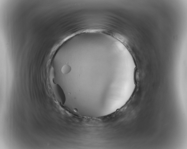 X0000086020337200704091117