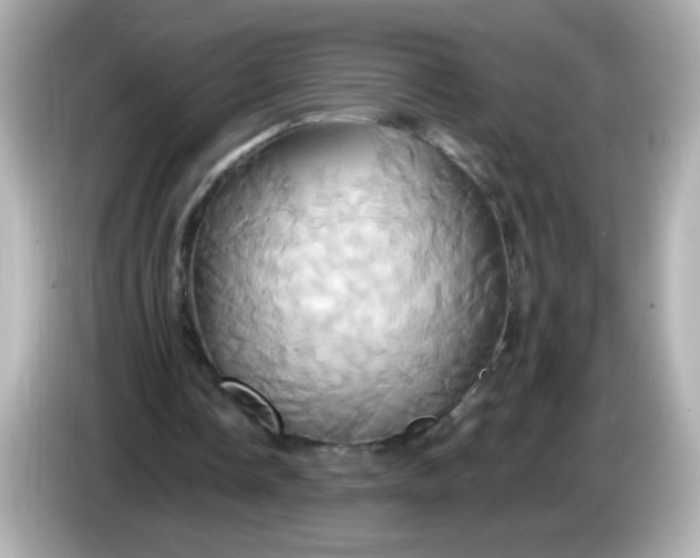 X0000086020338200704091117