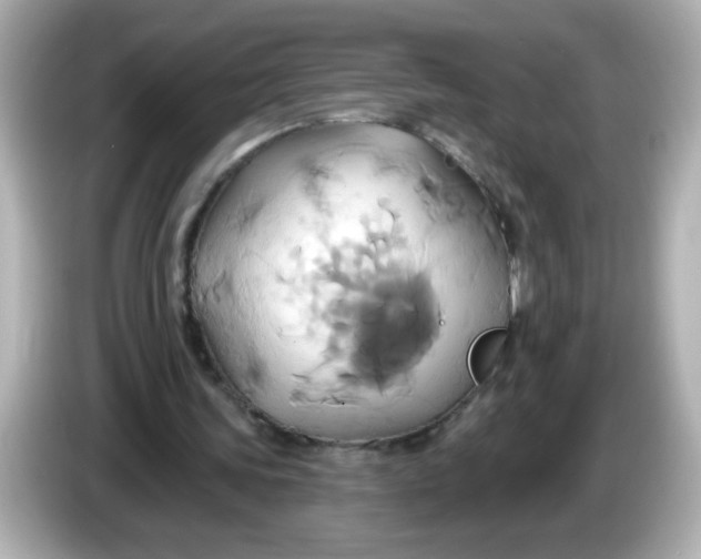 X0000086020339200704091117