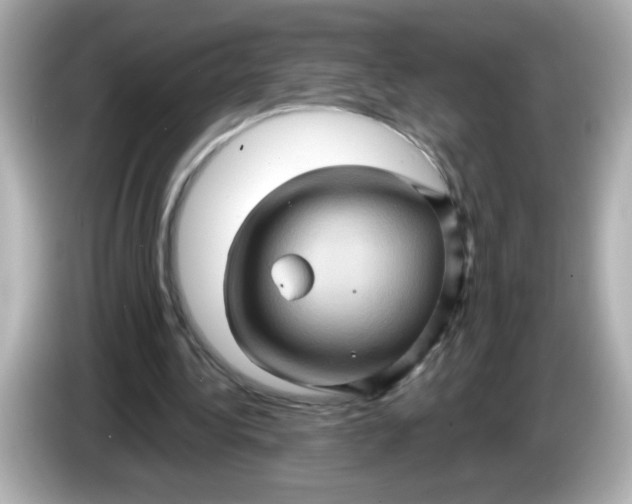 X0000086020340200704091117