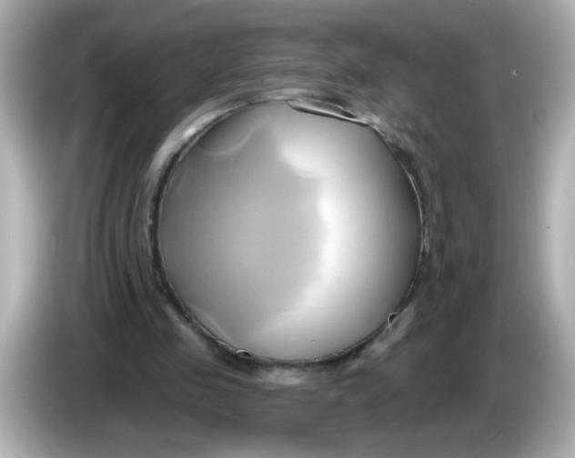 X0000086020341200704091117