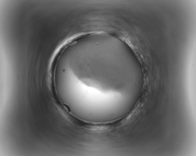 X0000086020342200704091117