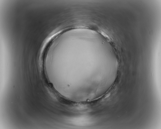 X0000086020343200704091117