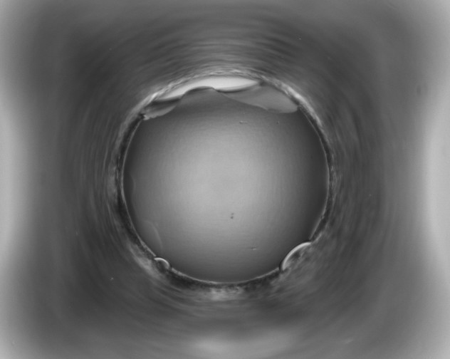 X0000086020345200704091117