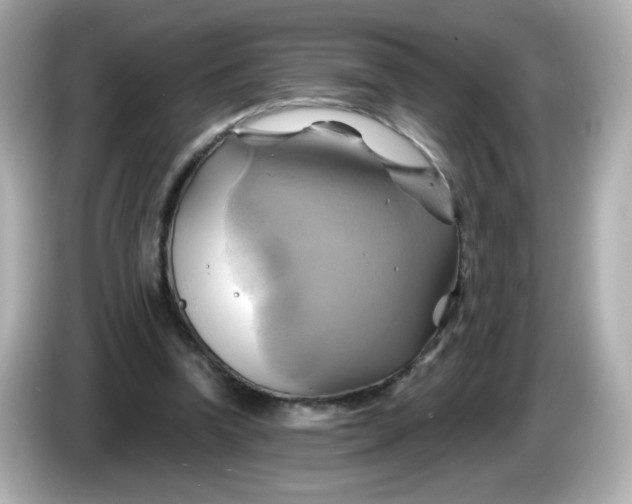 X0000086020346200704091117