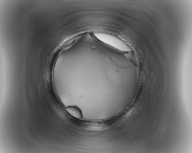 X0000086020347200704091118
