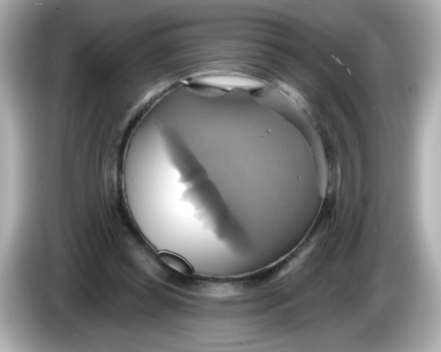 X0000086020349200704091118
